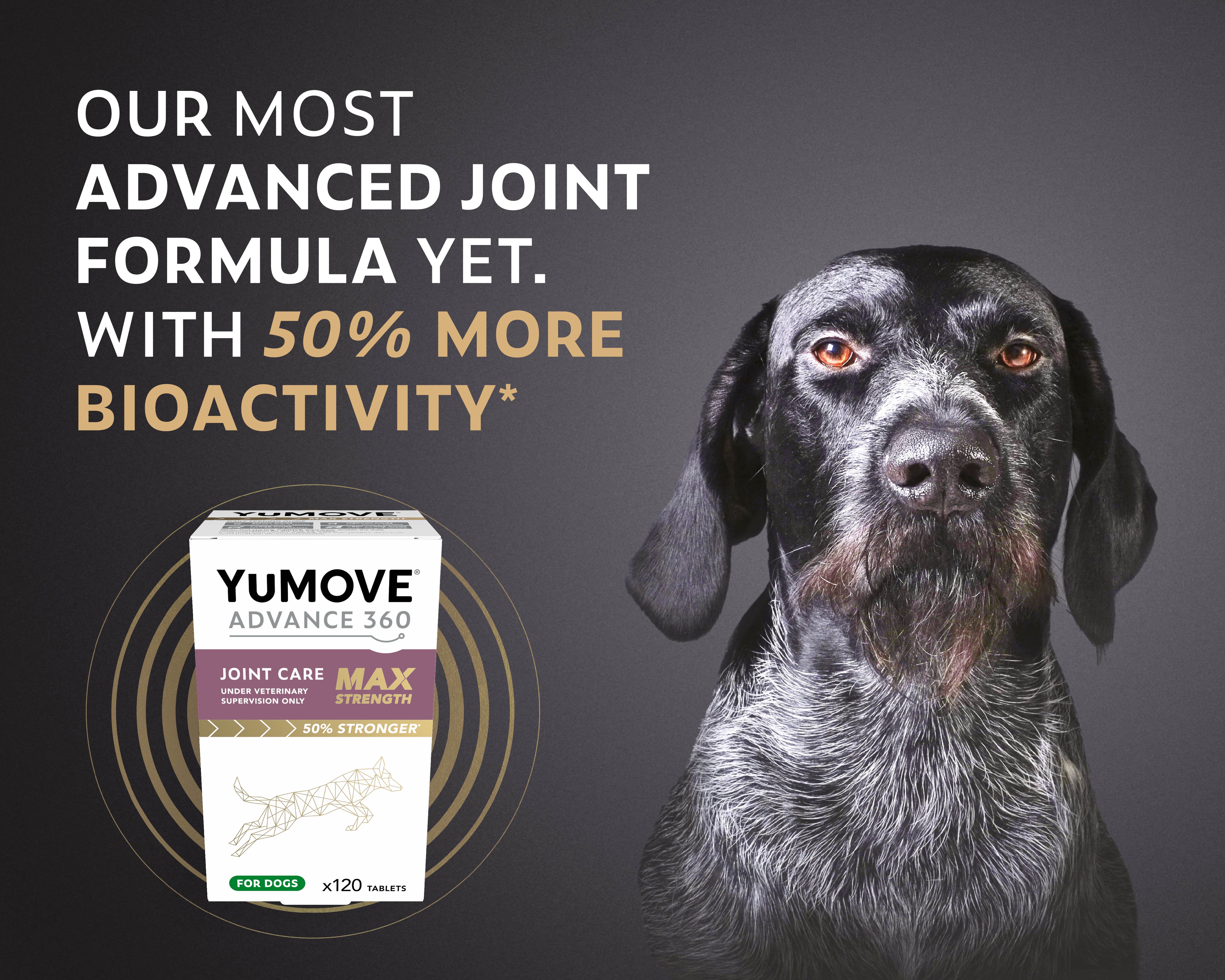 Lintbells Veterinary Home of YuMOVE ADVANCE 360 Vet Rewards